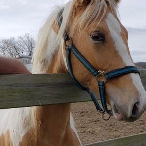 Meet your Posher, Michelle